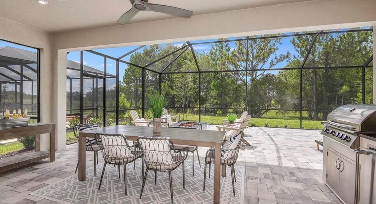 33320 Castaway Loop, Wesley Chapel, FL 33543 Photo