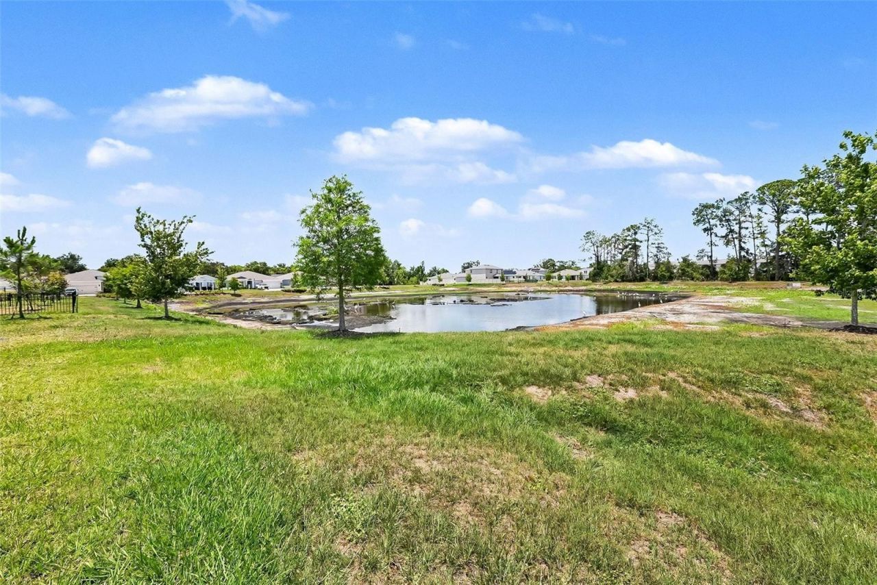 23231 Scaglione Drive , Lutz, FL 33549 Photo