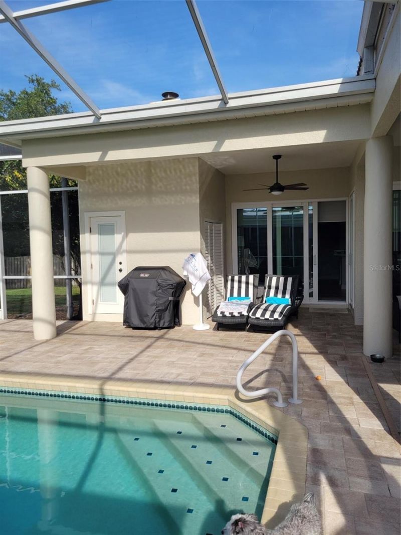 961 Live Oak Avenue Ne, Saint Petersburg, FL 33703 Photo