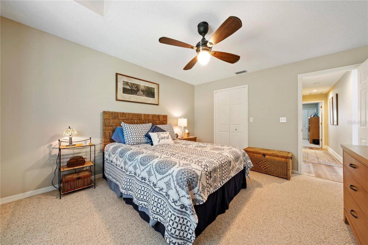 961 Live Oak Avenue Ne, Saint Petersburg, FL 33703 Photo