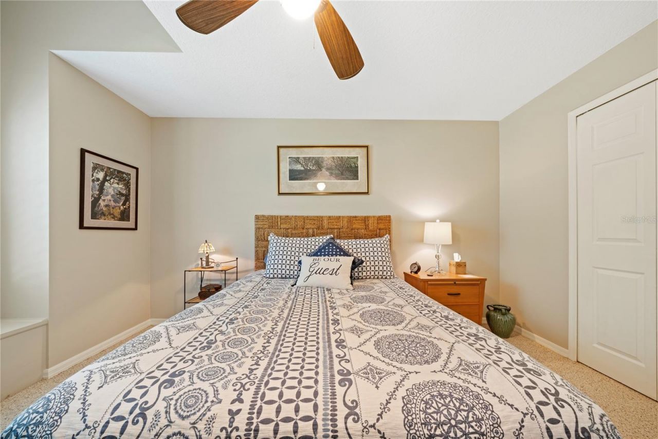 961 Live Oak Avenue Ne, Saint Petersburg, FL 33703 Photo