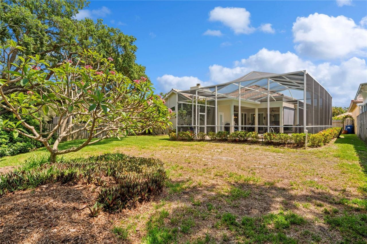 961 Live Oak Avenue Ne, Saint Petersburg, FL 33703 Photo
