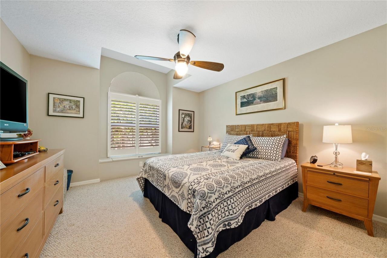 961 Live Oak Avenue Ne, Saint Petersburg, FL 33703 Photo