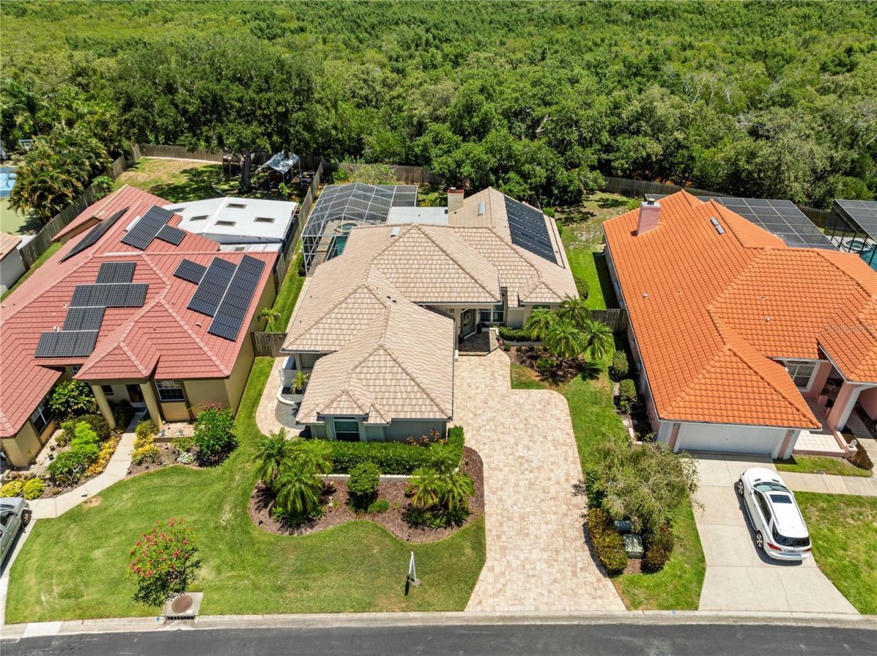 961 Live Oak Avenue Ne, Saint Petersburg, FL 33703 Photo