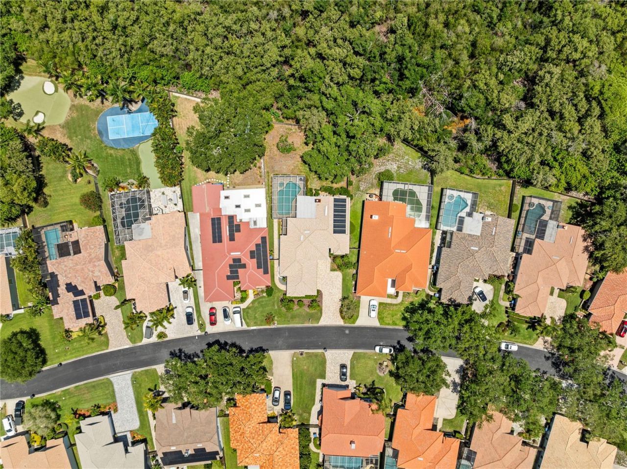 961 Live Oak Avenue Ne, Saint Petersburg, FL 33703 Photo