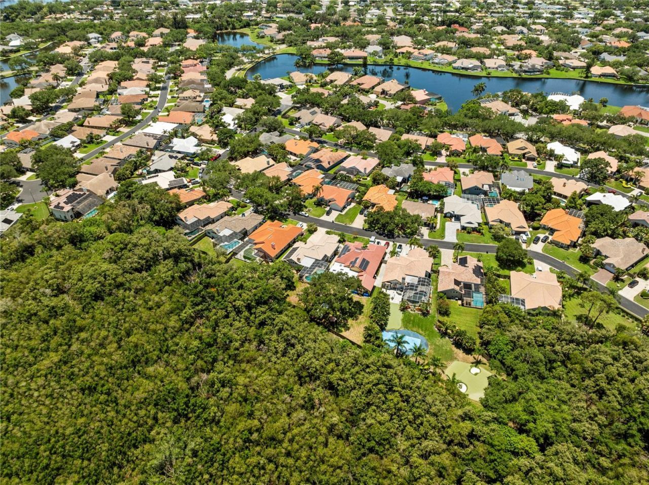 961 Live Oak Avenue Ne, Saint Petersburg, FL 33703 Photo
