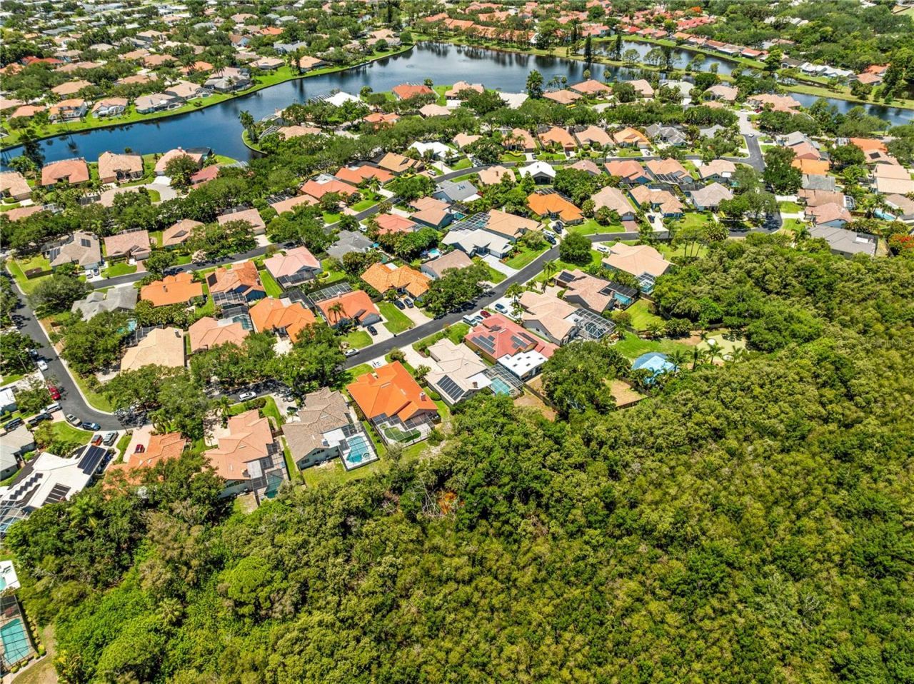 961 Live Oak Avenue Ne, Saint Petersburg, FL 33703 Photo
