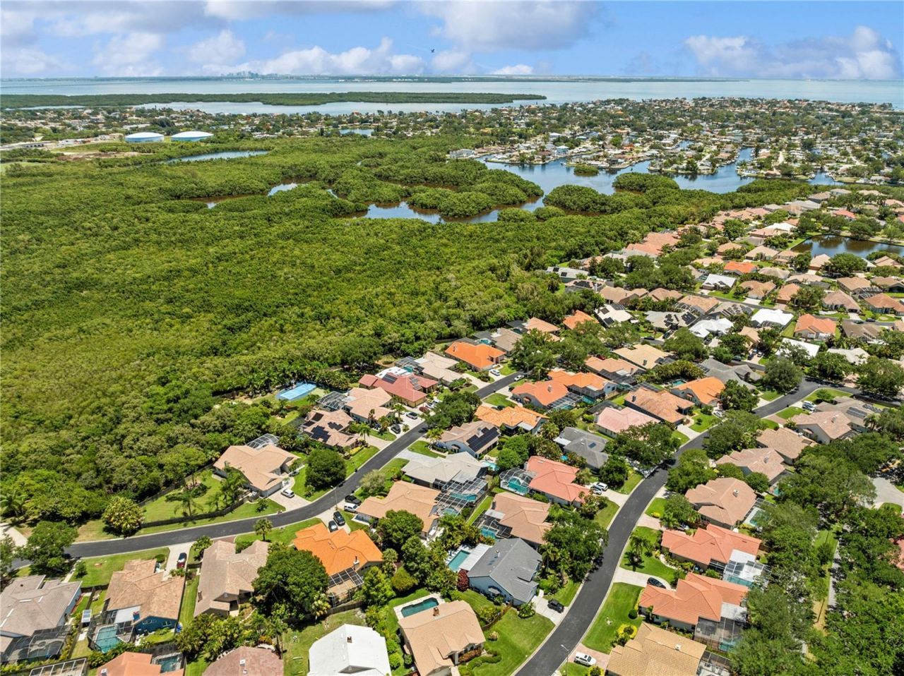 961 Live Oak Avenue Ne, Saint Petersburg, FL 33703 Photo