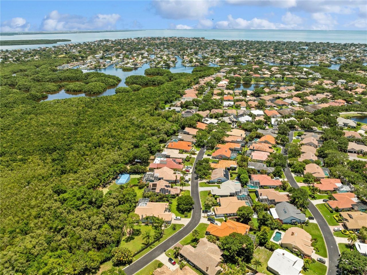 961 Live Oak Avenue Ne, Saint Petersburg, FL 33703 Photo