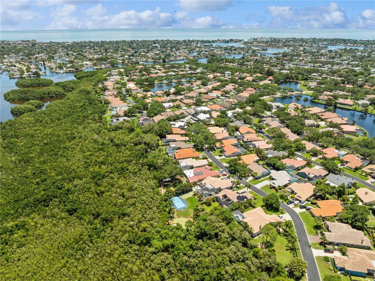 961 Live Oak Avenue Ne, Saint Petersburg, FL 33703 Photo
