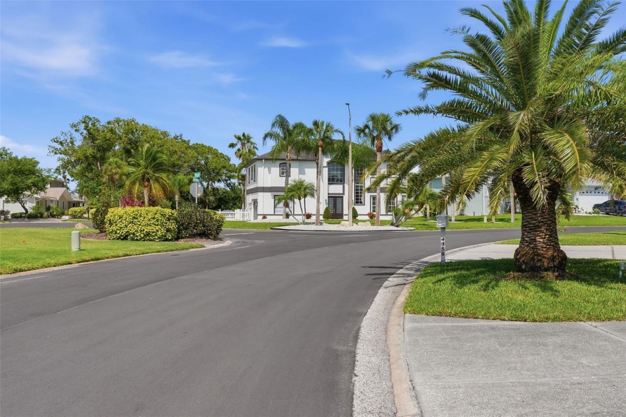 4353 Dewey Drive, New Port Richey, FL 34652 Photo