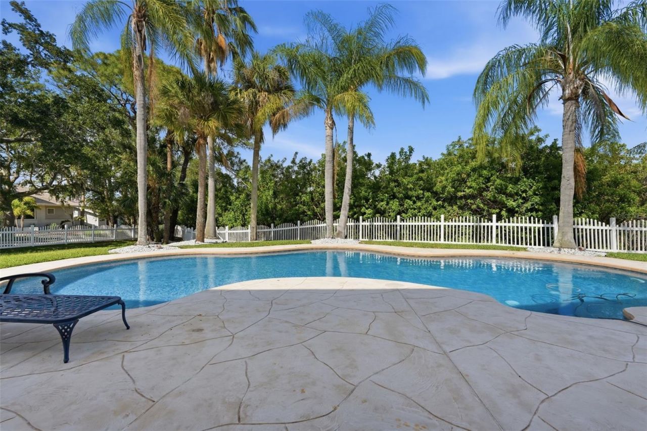 4353 Dewey Drive, New Port Richey, FL 34652 Photo