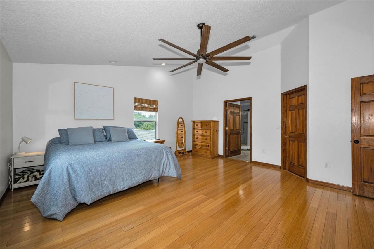 11046 Lakeview Drive, New Port Richey, FL 34654 Photo