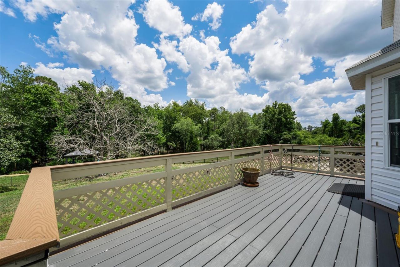 11046 Lakeview Drive, New Port Richey, FL 34654 Photo