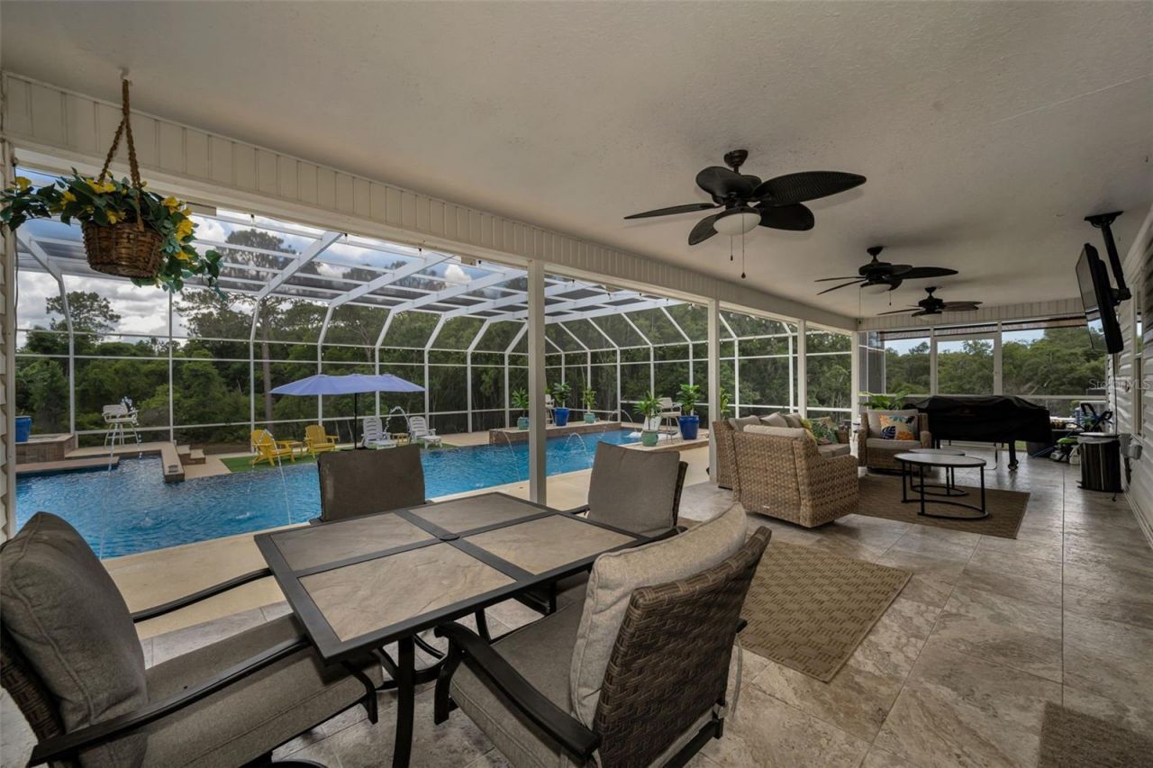 11046 Lakeview Drive, New Port Richey, FL 34654 Photo