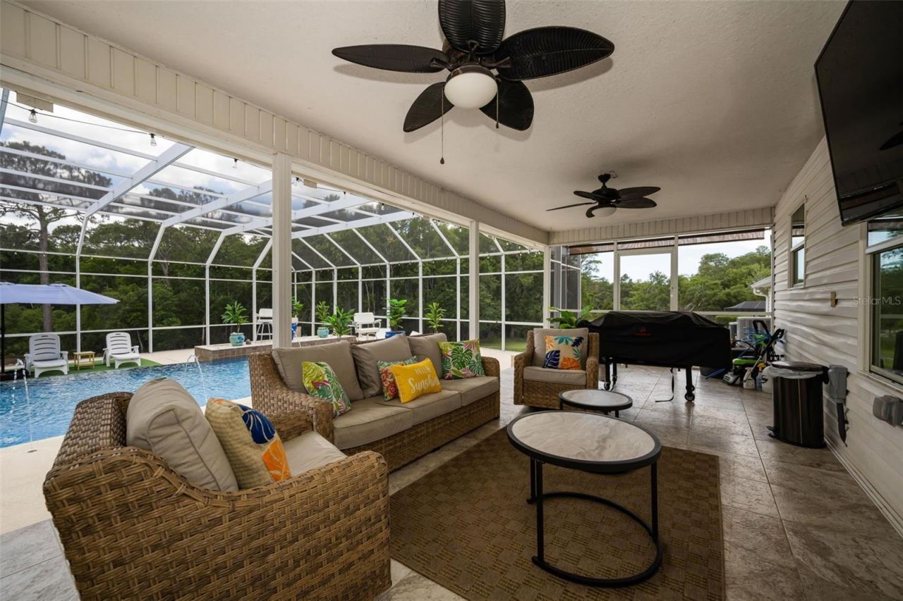 11046 Lakeview Drive, New Port Richey, FL 34654 Photo