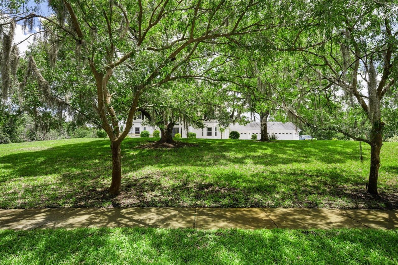 11046 Lakeview Drive, New Port Richey, FL 34654 Photo