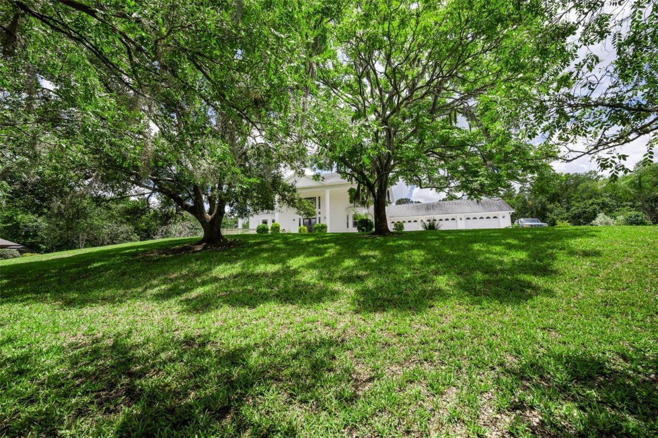 11046 Lakeview Drive, New Port Richey, FL 34654 Photo