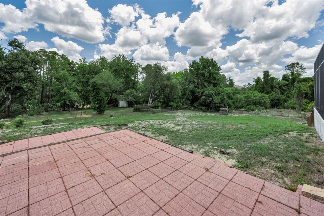 11046 Lakeview Drive, New Port Richey, FL 34654 Photo