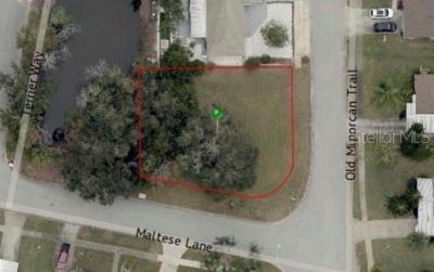 506 Old Minorcan Trail, New Smyrna Beach, FL 32168 Photo