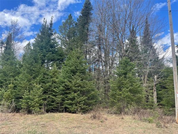 40 +/- Acres On Pociask Road, Butternut, WI 54514