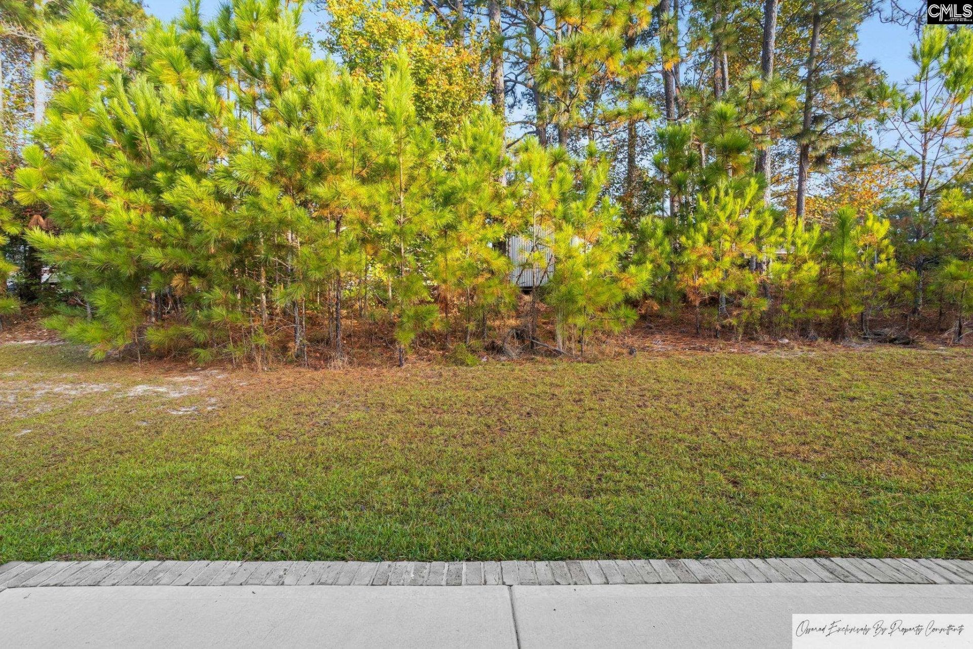 187 Long Iron Court  Photo 28