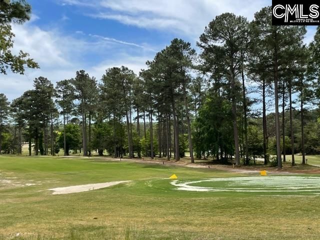 187 Long Iron Court  Photo 31