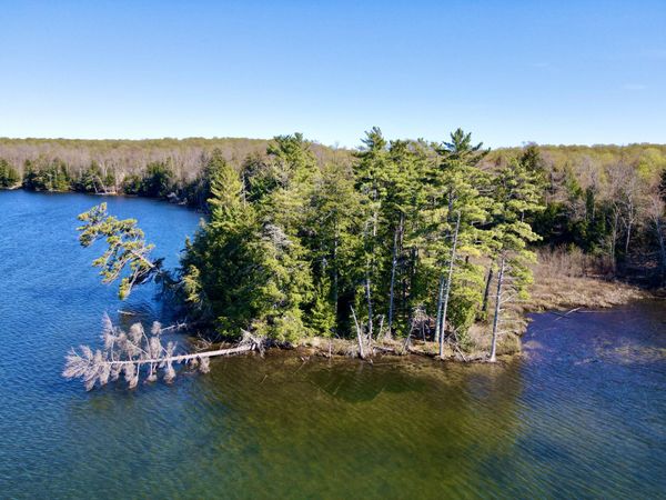 000 F Florence DR, McMillan, MI 49853