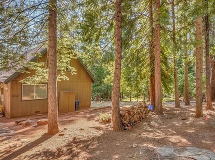16795 Barton Ct, Pioneer, CA 95666 Photo