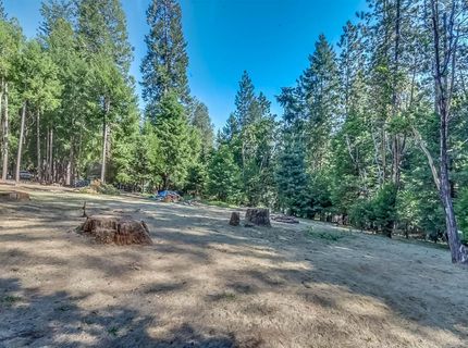 16795 Barton Ct, Pioneer, CA 95666 Photo