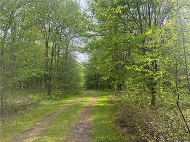 Lot #9 Lost Ridge Road, Unit 9, Camden, NY 13316