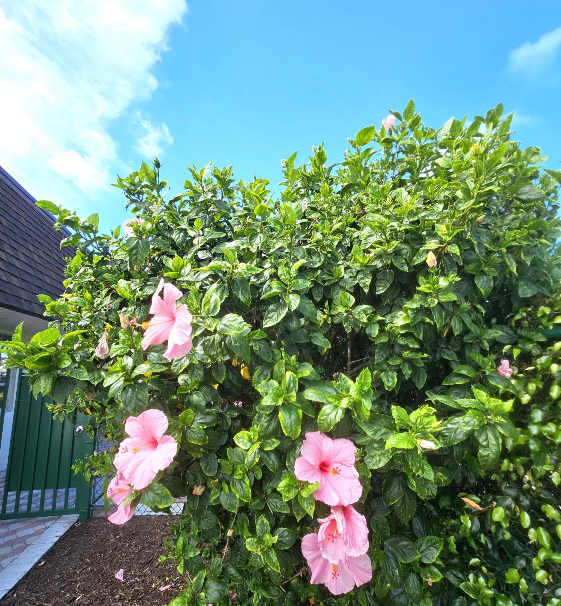 1141 Violet Terrace, Unit 201, Delray Beach, FL 33445 Photo