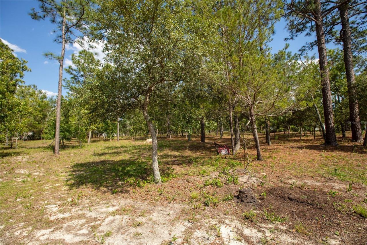 5670 Acadia Street , Keystone Heights, FL 32656 Photo