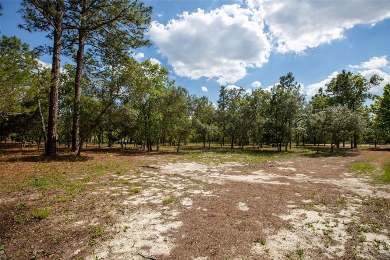 5670 Acadia Street , Keystone Heights, FL 32656 Photo