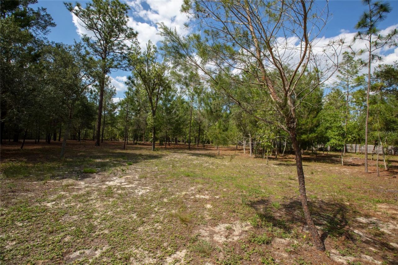 5670 Acadia Street , Keystone Heights, FL 32656 Photo