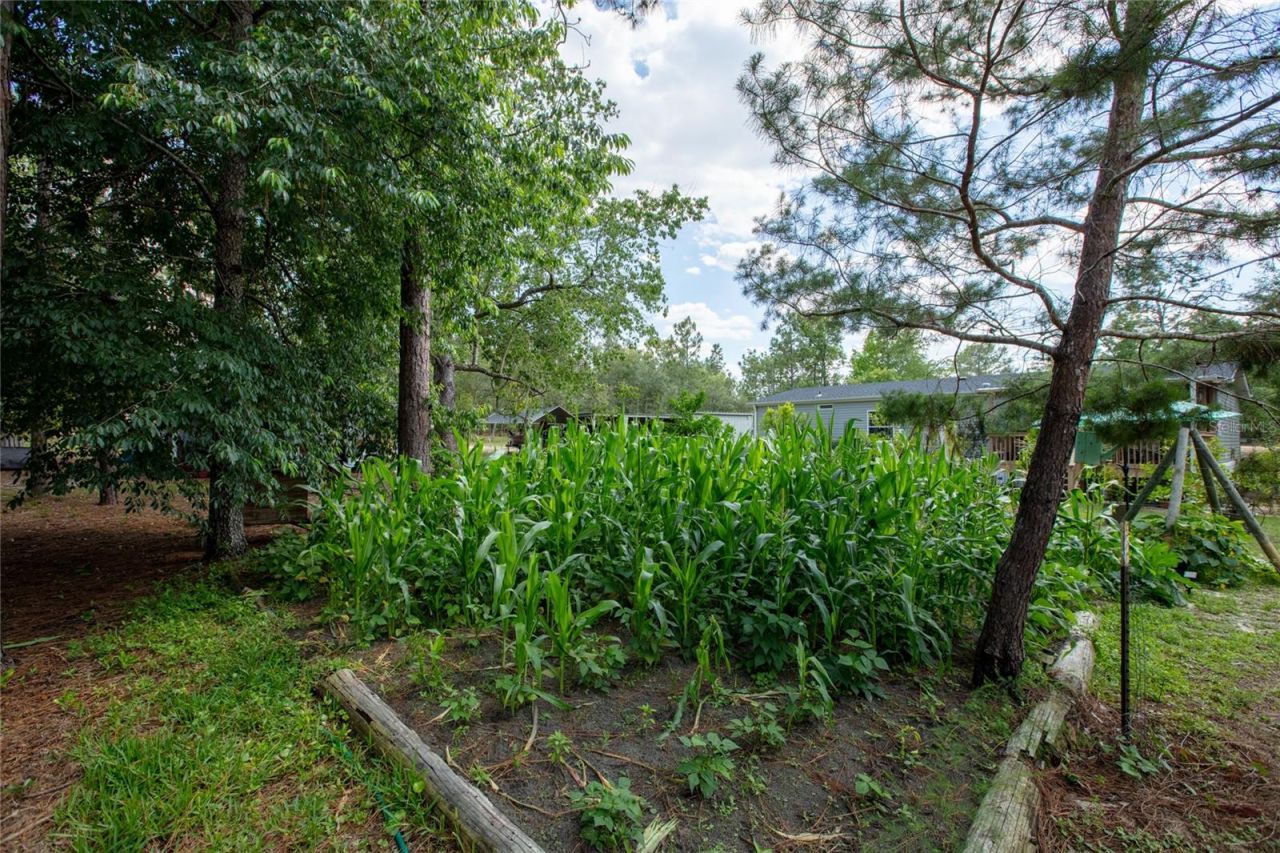 5670 Acadia Street , Keystone Heights, FL 32656 Photo