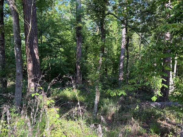 TBD 177TH RD, Live Oak, FL 32060