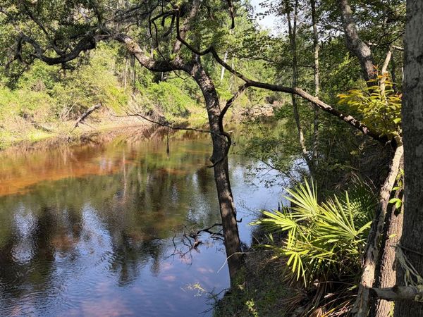 TBD NW 79TH DR, Jennings, FL 32052
