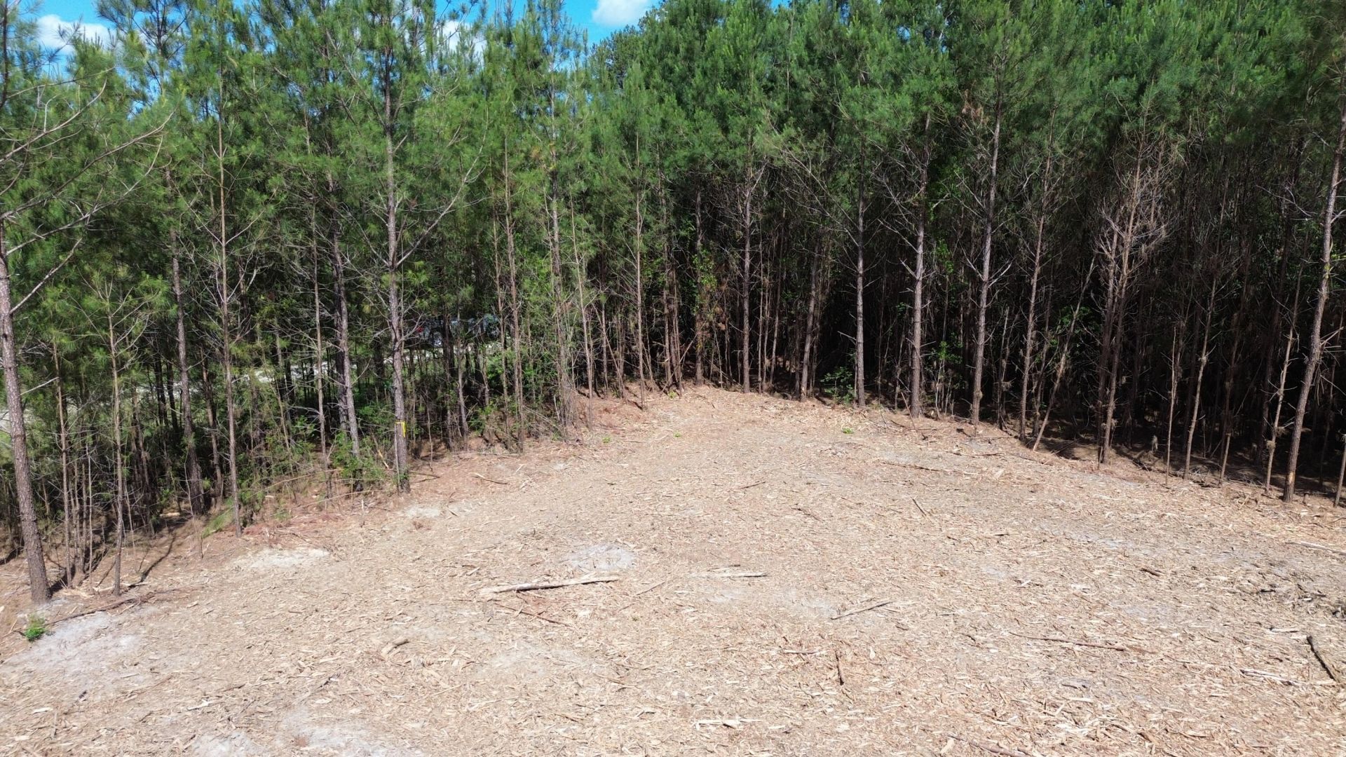 5 Highway 311 Photo 11