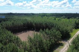 5 Highway 311 photo 4