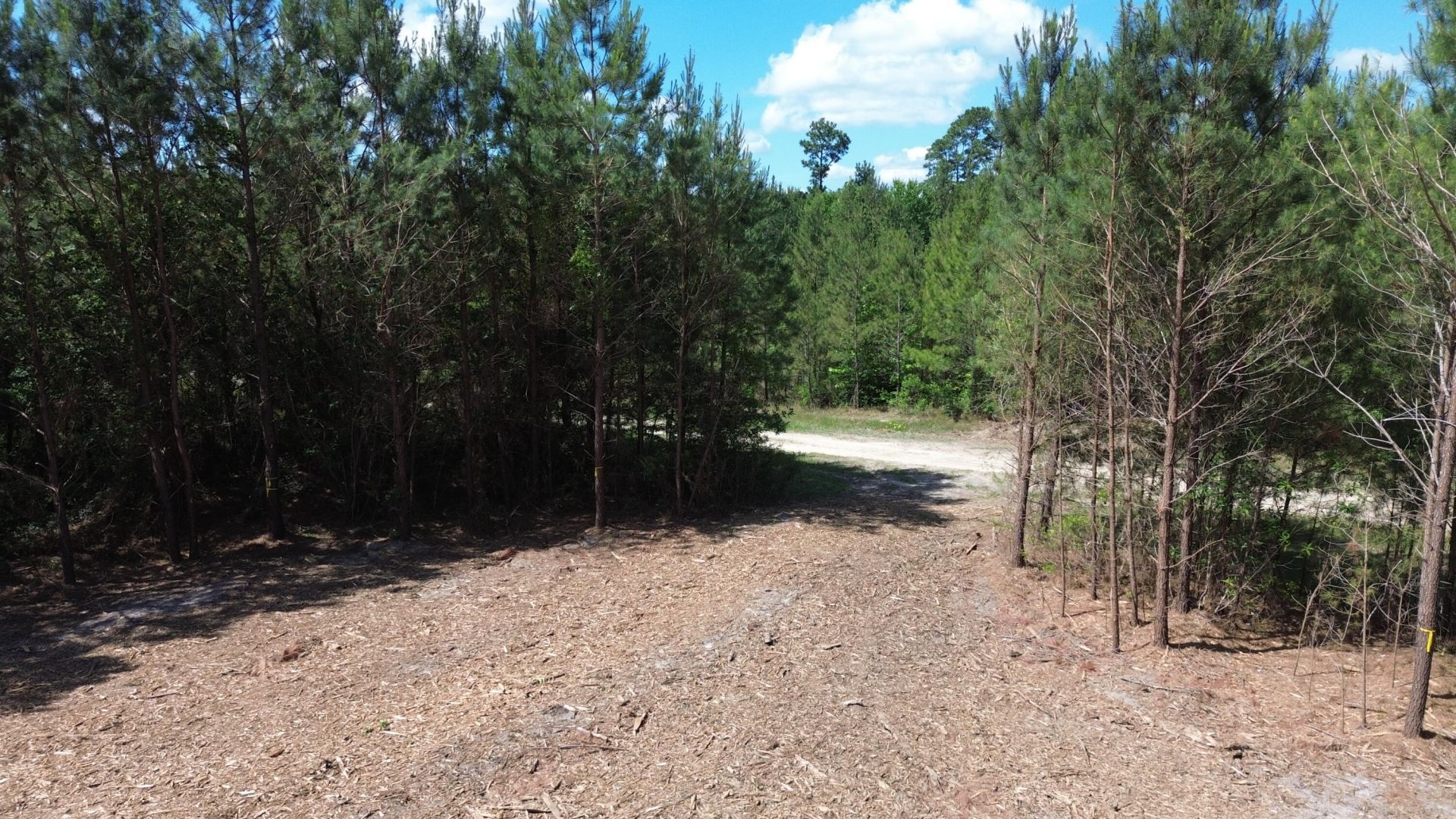 5 Highway 311 Photo 9