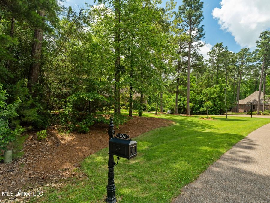 Property Image 65