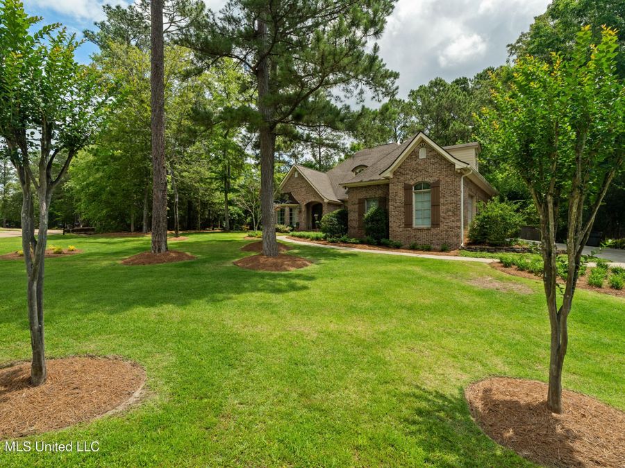 Property Image 68