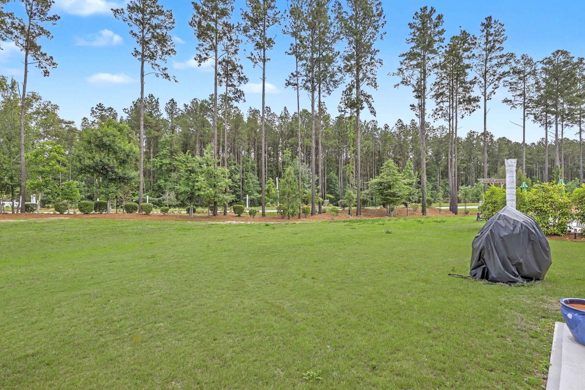 1054 Magnolia Warbler Way Photo 31