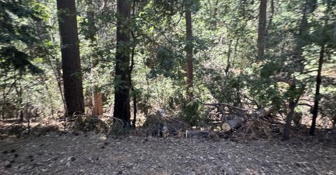 6001 Calico Court, Pollock Pines, CA 95726 Photo