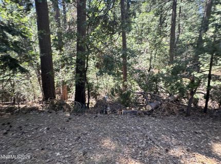6001 Calico Court, Pollock Pines, CA 95726 Photo