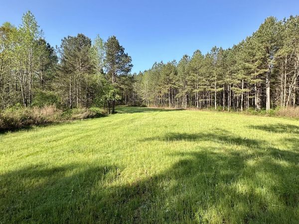 0 J.W. Dunn Road, Warm Springs, GA 31830