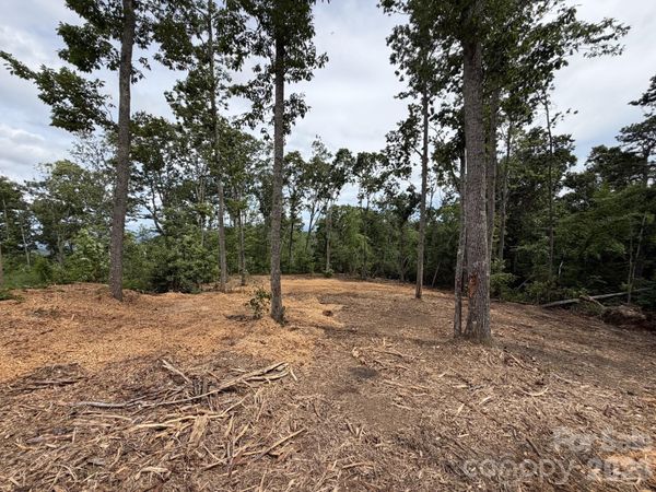 148 Spring Song Lane, Fletcher, NC 28732