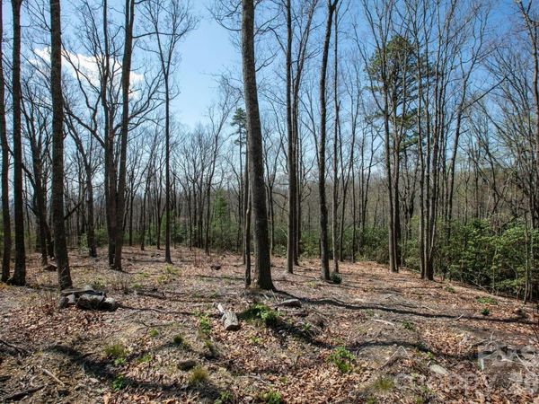 148 Spring Song Lane , Fletcher, NC 28732