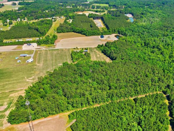 TBD Sandy Ridge Rd., Galivants Ferry, SC 29544